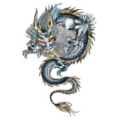 Autocolant Dragon metalic 1buc 30x47cm